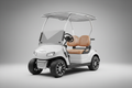 realistic electric 2 seat golf cart with a neutral background 